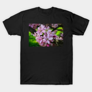 Blooming Pink Cherry Flowers T-Shirt